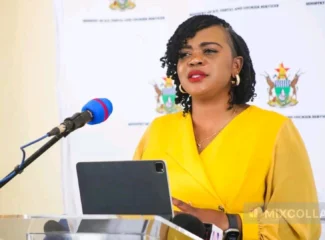 Zimbabwe to Use Starlink for POS Machines at Police Roadblocks