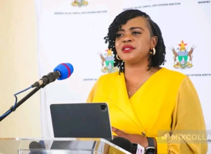 Zimbabwe to Use Starlink for POS Machines at Police Roadblocks