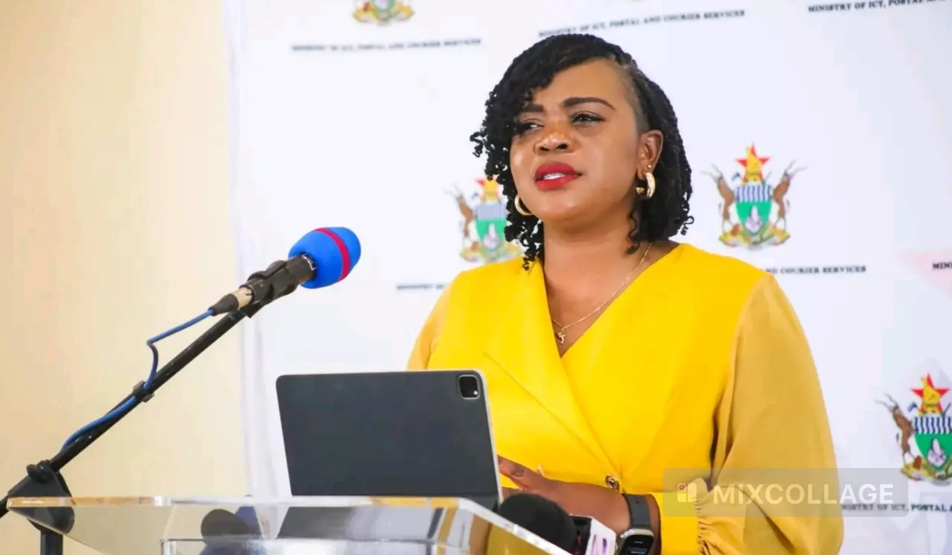 Starlink to Enable Cashless Payments at Police Roadblocks