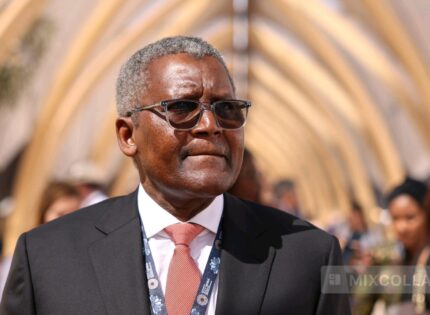 President Mnangagwa Approves Aliko Dangote’s Visit for Landmark US$1 Billion Investment Deal