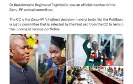 From business to politics: Kuda Tagwirei secures a powerful seat in ZANU-PF’s Central Committee