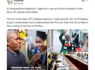 From business to politics: Kuda Tagwirei secures a powerful seat in ZANU-PF’s Central Committee