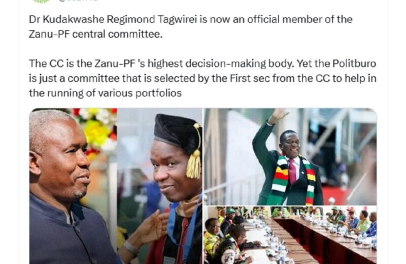 President ed mnangagwa is a very smart man he works with people who understand the vision dr 1 1 1024x837 1