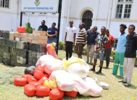 Zrp drug peddlers aspindale midnight right 002 1280px t