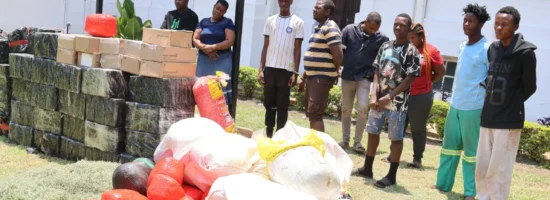 Zrp drug peddlers aspindale midnight right 002 1280px t
