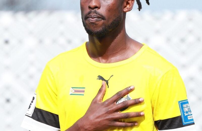 471156580 18468769873065341 2116390847309512964 n 824x1024 1