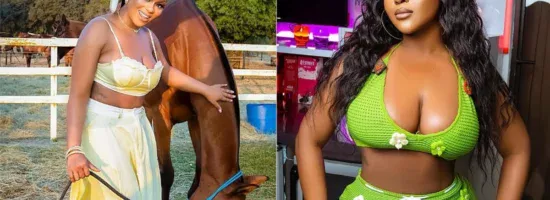 Mixcollage 03 nov 2025 12 27 pm 1240