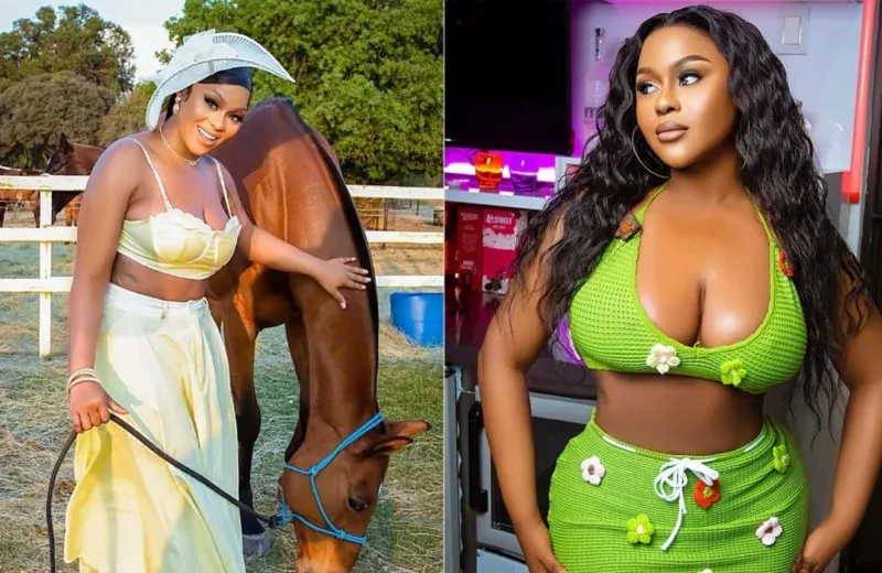 Mixcollage 03 nov 2025 12 27 pm 1240