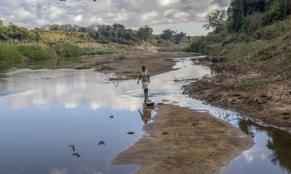 Zimbabwe Booming Carbon Market: How and Why To Invest