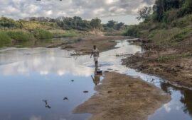 Zimbabwe Booming Carbon Market: How and Why To Invest