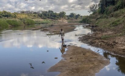 Zimbabwe Booming Carbon Market: How and Why To Invest