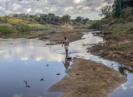Zimbabwe Booming Carbon Market: How and Why To Invest