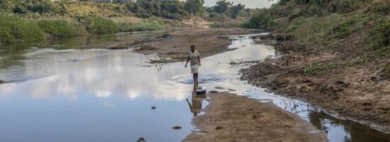 Mixcollage 05 nov 2025 10 13 am 6234