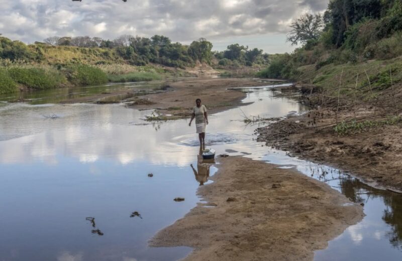 Mixcollage 05 nov 2025 10 13 am 6234