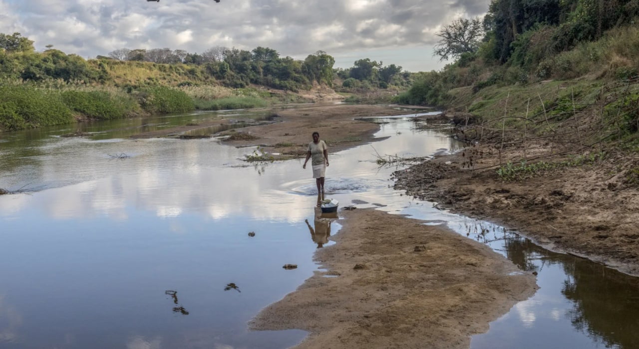 Zimbabwe Booming Carbon Market: How and Why To Invest