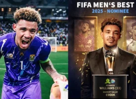 Mixcollage 07 nov 2025 02 37 pm 6729