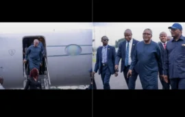 Africa’s Richest Man Aliko Dangote Arrives in Zimbabwe to Explore US$1 Billion Investment Opportunities
