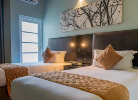 Mixcollage 21 nov 2025 04 27 pm 3293