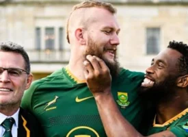 Mixcollage 22 nov 2025 08 40 am 5012