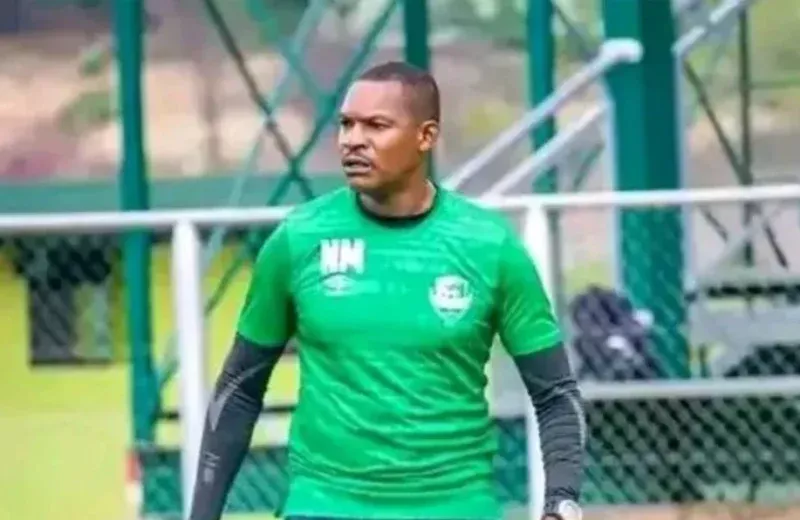 Mixcollage 27 nov 2025 09 15 am 6911 1024x596 1