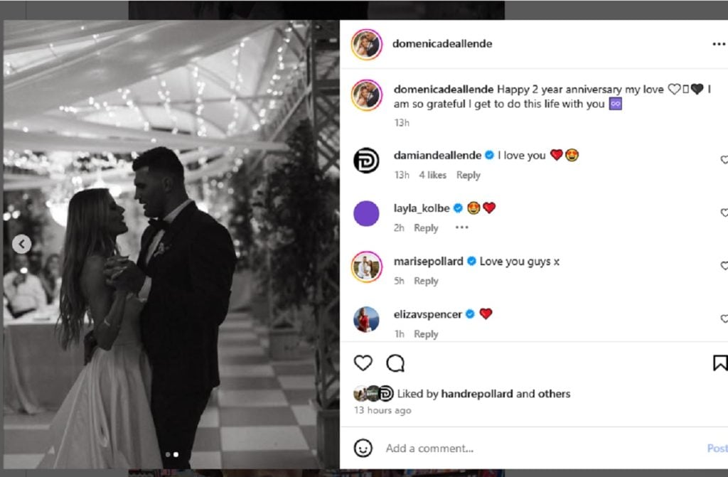 Springbok Damian de Allende Wedding anniversary