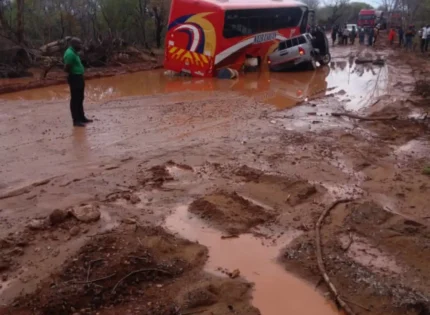 Zimbabwe MP’s Viral Photo Of Victoria Falls Road Sparks Heated Online Debate