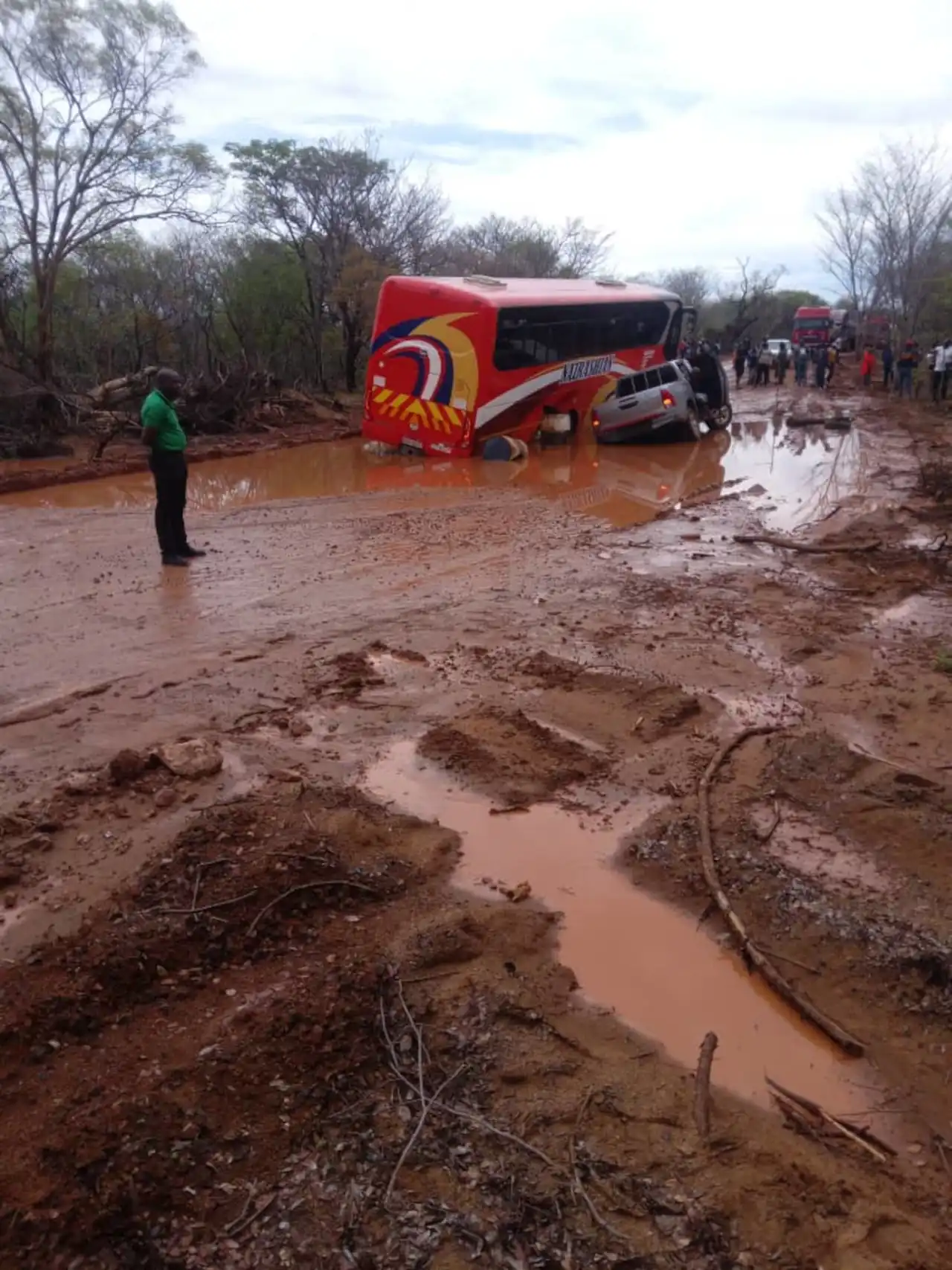 Zimbabwe MP’s Viral Photo Of Victoria Falls Road Sparks Heated Online Debate