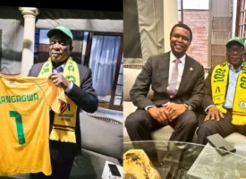 Mixcollage 15 dec 2025 01 26 pm 4307