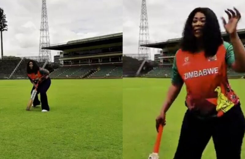 Mixcollage 12 jan 2026 04 48 pm 7054