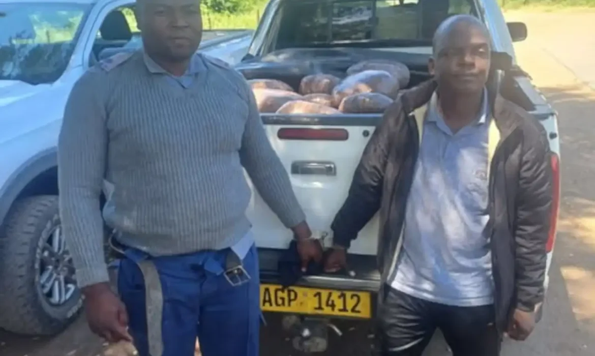 Fake ZRP Inspector & ZNA Soldier Nabbed In US$96k Beitbridge Drug Run With 600kg Of Dagga: ‘Real Cop Gave Me The Uniform’