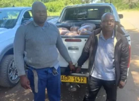 Bogus ZRP Officer Drugs 2 1280px t