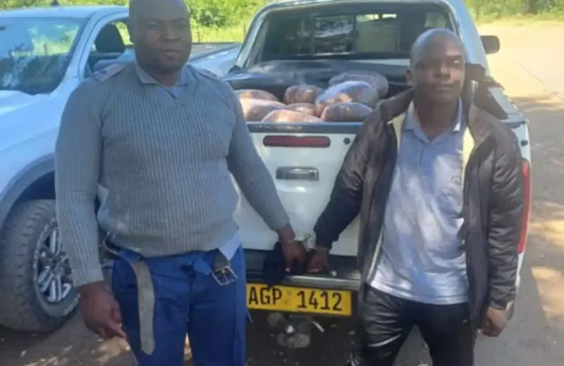 Fake ZRP Inspector & ZNA Soldier Nabbed In US$96k Beitbridge Drug Run With 600kg Of Dagga: ‘Real Cop Gave Me The Uniform’