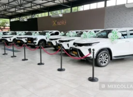 MixCollage 13 Feb 2026 11 34 AM