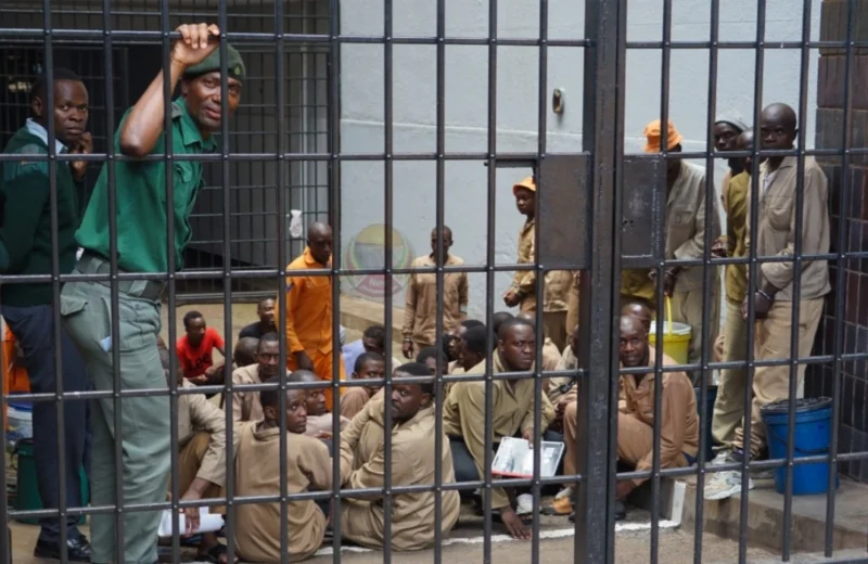 MixCollage 18 Aug 2025 04 54 PM