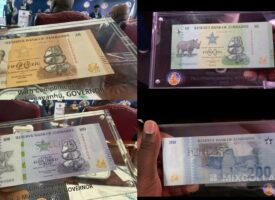 MixCollage 27 Feb 2026 01 15 PM