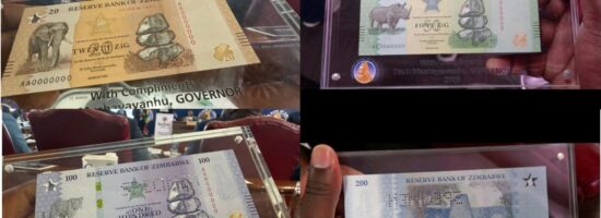 MixCollage 27 Feb 2026 01 15 PM