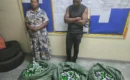 Zimbabwe Police Seize Over 9,000 Bottles Of ‘Addictive’ Codeine Syrup Worth R1.5 Million Near SA Border