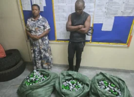 ZRP Codeine Suspects 1280px t