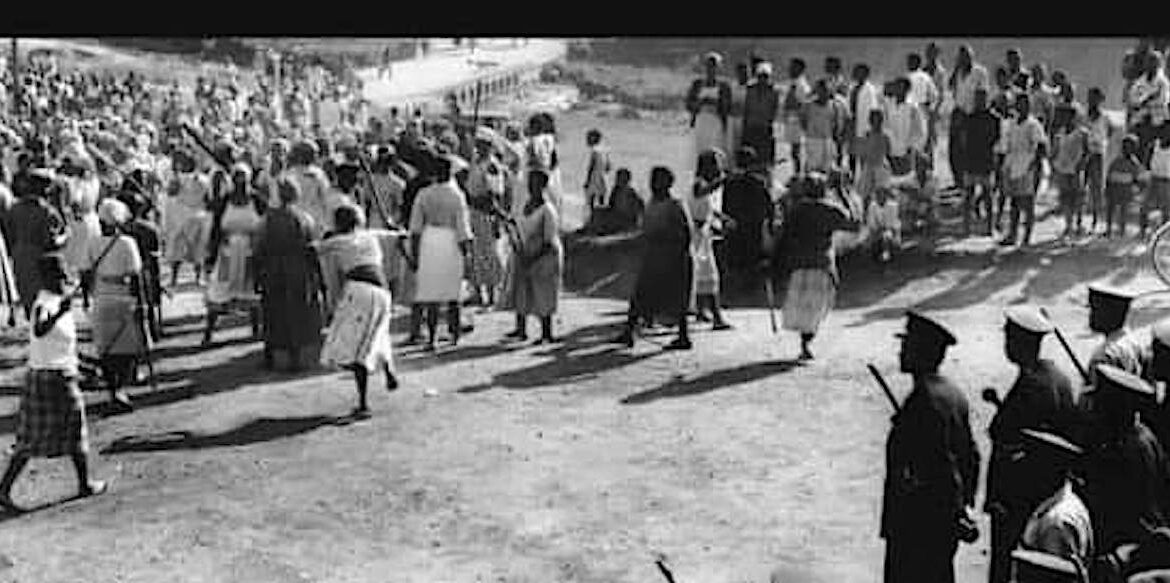 Is Feminism Really ‘Un-African’? Lessons from Nigeria and Zimbabwe