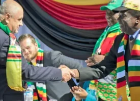 56ecfda0 1eb2 11f1 b048 c9424b2cf5fdjpg