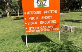 Outrage As Harare City Council Demands Fee Payments For Using Parks, Including Study Groups