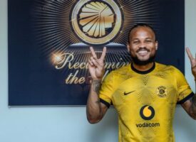 MixCollage 21 Mar 2026 01 58 PM