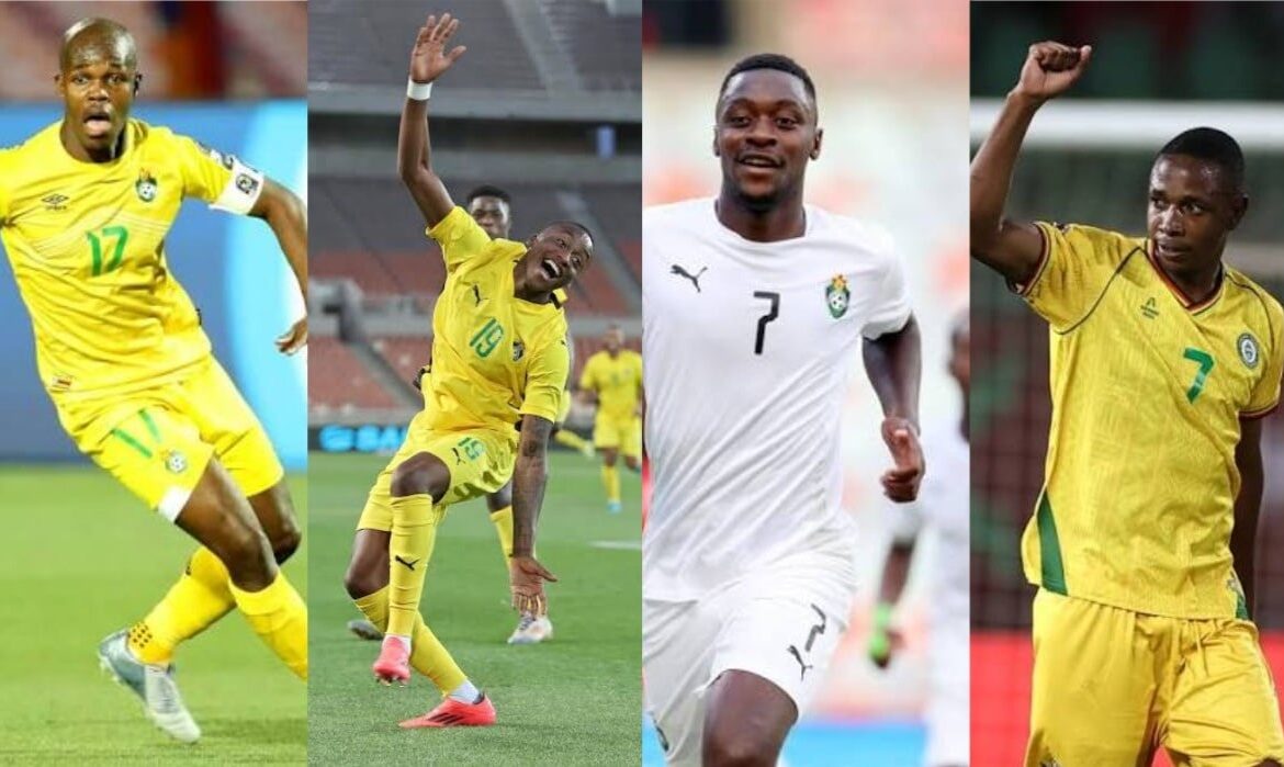 Zimbabwe Key Warriors Players Ruled Out from Four Nations Tournament, Replacements Named