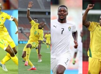 Zimbabwe Key Warriors Players Ruled Out from Four Nations Tournament, Replacements Named