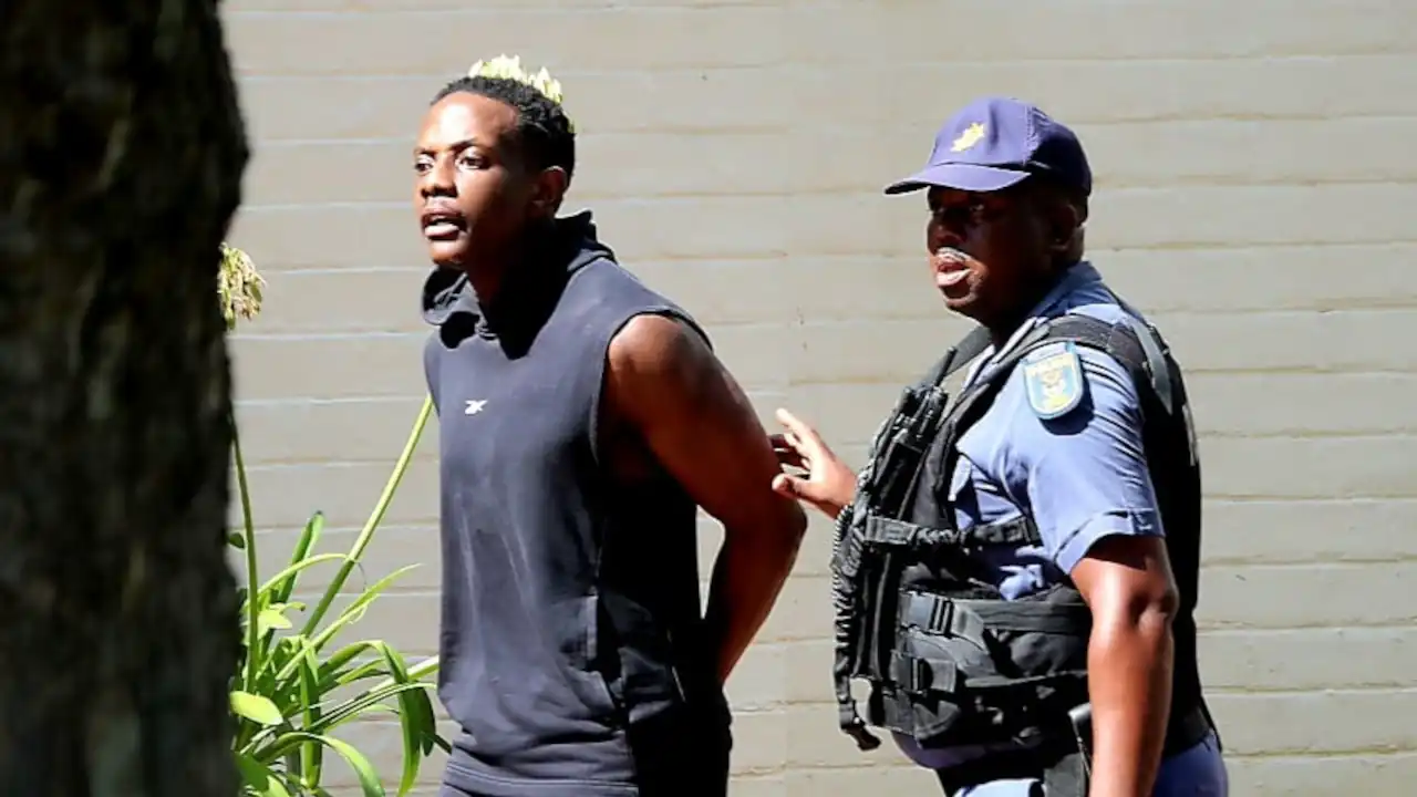 Bellarmine Mugabe, Robert Mugabe, Tobias Matonhodze, Sipho Mahlangu, Advocate Laurence Hodes SC, National Prosecuting Authority (NPA),