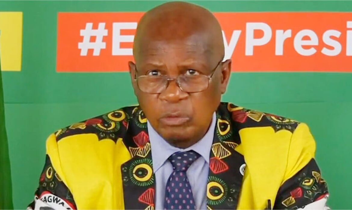 Doug Coltart Phone Incident: ZANU PF Says Luckmore Tinashe Gapa Faces Expulsion, Insists Party Has No Room For Phone Stealers