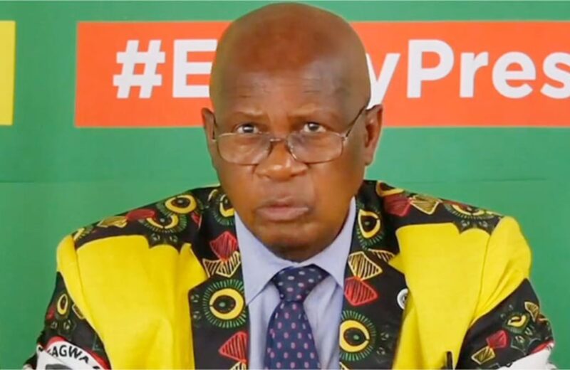 Collage Maker 15 Sep 2023 11 12 AM