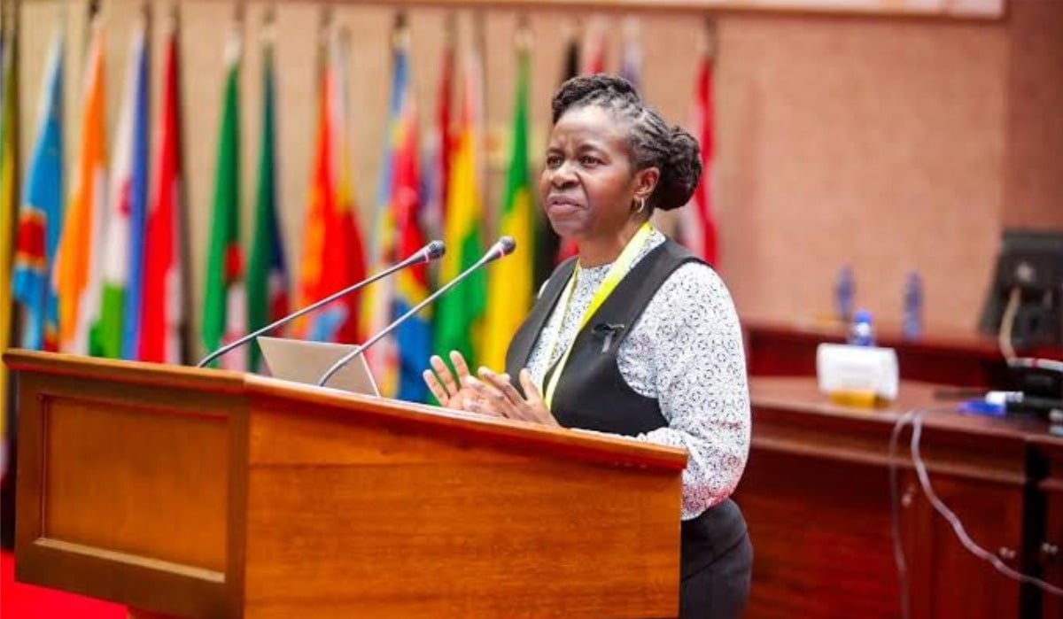 Jessie Majome Was Reassigned Before: Presidential Spokesperson Hits Back At Lawyers Over ZHRC Move