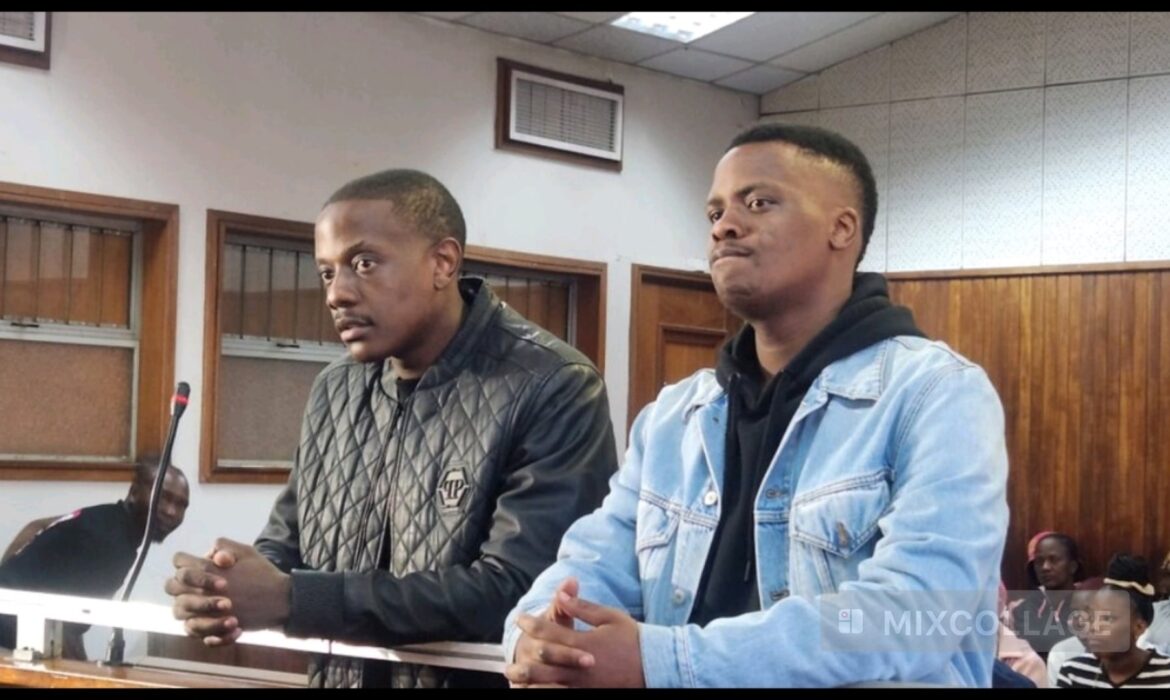Afriforum Blows Lid On Bellarmine Mugabe Plea Deal, Questions How He Was Convicted For Fake Gun Only
