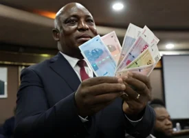 RBZ governor John Mushayavanhu